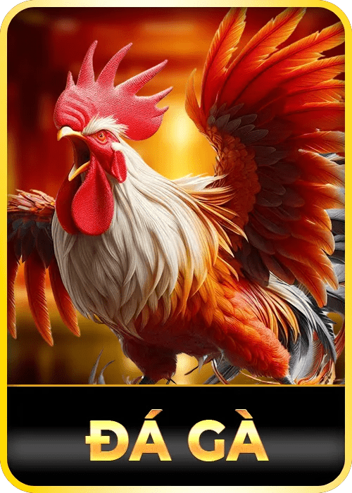 đá gà 24win